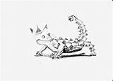 Thorny Devil Coloring Lizard Drawings Kids Designlooter Dragon 55kb 1600 December sketch template