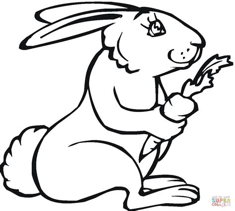 bunny  carrot coloring page coloring home