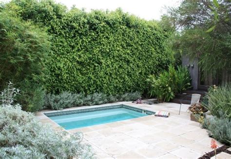 spas venice ca photo gallery landscaping network