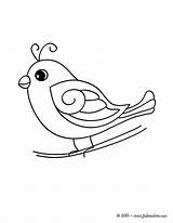 Oiseau Oiseaux Pajaros Passarinho Hellokids Fofo Silhouetten Burung Passarinhos Fofinhos Aves Colorier تلوين عصفور Pájaros Paradis Pájaro Kertas Mewarna Nid sketch template