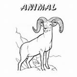 Nevada Book Coloring Printable State Animal Hull Christine Copyright Themed Pinwheel Windy Sheep Celebrate sketch template