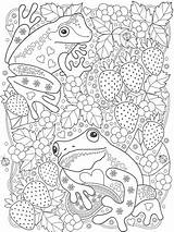 Coloring Frog Pages Adult Zentangle Adults Printable Color Mandala Cute Bright Teens Colors Favorite Choose Books sketch template