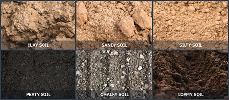 types  soil clay peat sandy loam soils