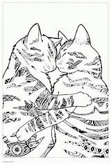 Coloring Pages Animal Adult Adults Animals Print Printable Colouring Look Other sketch template