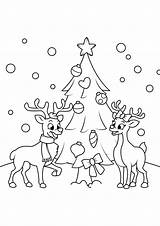 Natale Colorare Renne Disegno Rendieren Facili Reindeer Kerstboom Aspettandonatale Semplici Imm sketch template