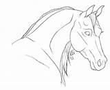 Lineart Arabian Fjord Foal Unicorns sketch template