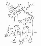 Deer Template Coloring Templates Tail Animal sketch template