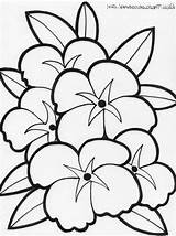 Flowers Printable Coloring Pages Source sketch template