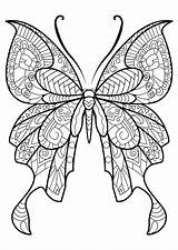 Disegni Farfalle sketch template
