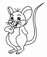 Mewarnai Tikus Kartun Tk Sederhana Ratos Ratinhos Aprende Rato Ratón sketch template