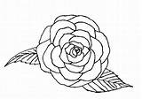 Coloring Rose Single Drawing Coloringpagebook Book Flowers Advertisement Getdrawings Print sketch template