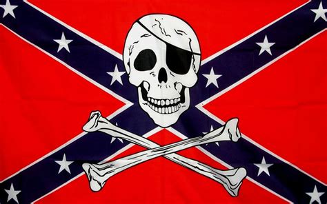 rebel skull jr flag