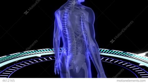 virtual human body scan stock animation