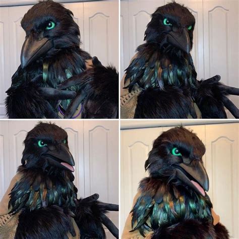 realistic crow fursuit maker owner atcryptocritter  instagram fursuit furry anthro