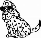 Helmet Fire Dog Wearing Drawing Coloring Pages Dalmatian Firemens Sitting Getdrawings sketch template