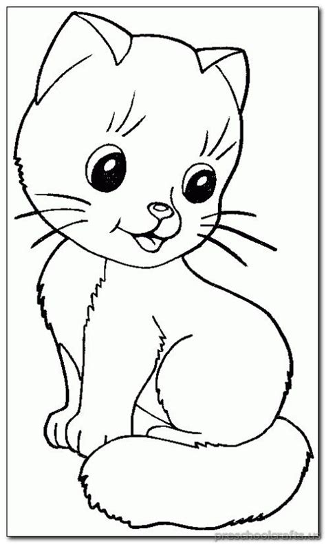 cat animal coloring page cat coloring page kitty coloring animal