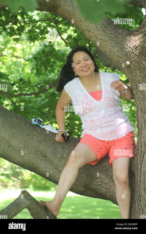 mature asian woman wearing shorts sitting on a large branch of a big