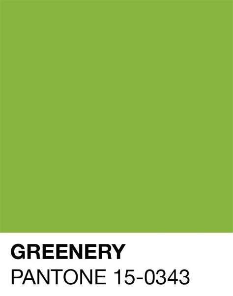pantones  color   year greenery carta de colores pantone pantone verde paletas de