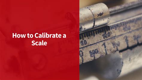 calibrate  scale scales