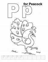 Letter Coloring Pages Peacock Learn Color Getdrawings Alphabet sketch template