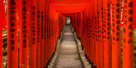 traditional red torii gates heijinja shrine panorama