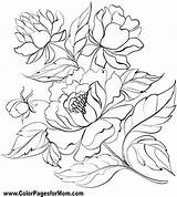 Flower Coloring Pages Drawing Peony Patterns Color Flowers Outline Painting Adults Fabric Drawings Colorpagesformom Visit Hand sketch template