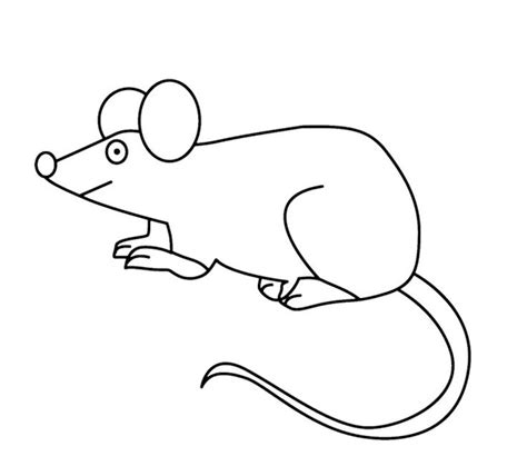mouse coloring page images  pinterest computer mouse mice