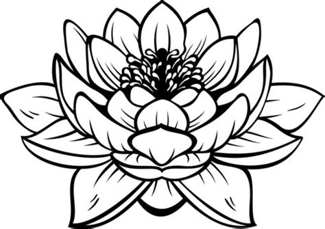 lotus flower outline svg lupongovph