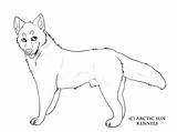 Coloring Husky Pages Siberian Printable Popular Library Clipart Coloringhome Line sketch template