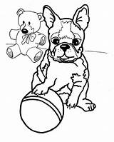 Terrier Boston Coloring Pages Coloringhome Via Printable sketch template