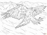 Aquila Reale Attacco Supercoloring Attack Stampare Eagles Colouring Titan Disegnare sketch template