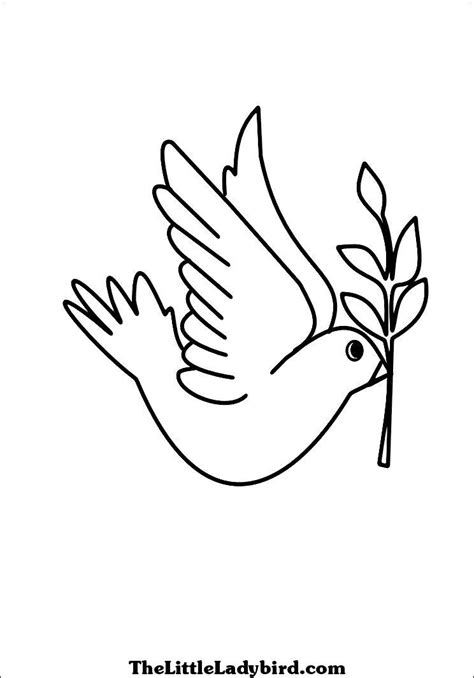 coloring page dove  animals printable coloring pages