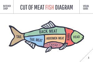 salmon fish cuts diagram illustrations creative market