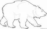 Bear Grizzly Coloring Coloring4free Related Posts sketch template