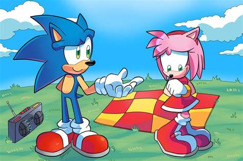 2395 best sonamy images on pinterest amy rose hedgehogs and couples