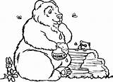 Coloring Eating Bear Honey Pages Animal Animals Printable Jar Bears Gif Printablecoloringpages sketch template