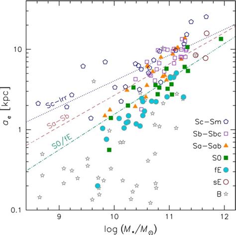relation  size  stellar mass   galaxy sample   scientific diagram
