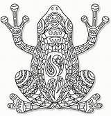 Frog Coloring Pages Colouring Mandala sketch template