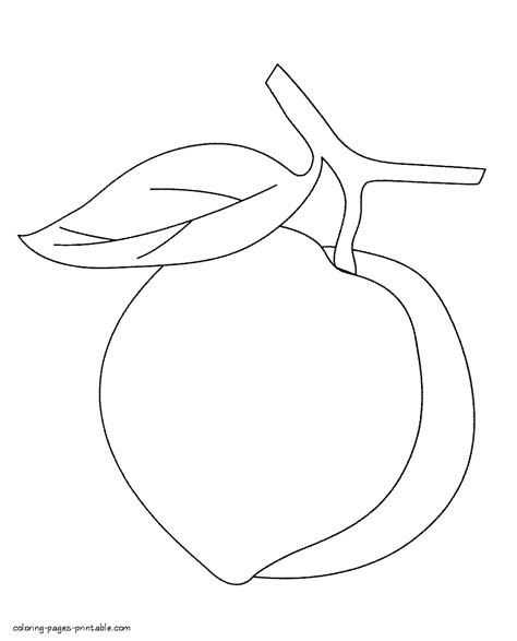 coloring pages fruit coloring home