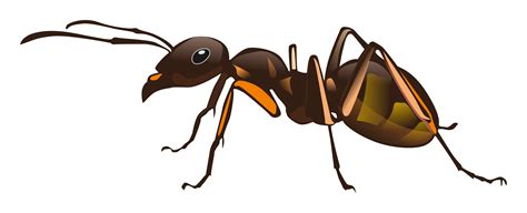 clipart png ant clipart png ant transparent     webstockreview