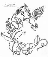 Hummingbird Carving Pyrography Lora Beginner Woodburning Birch Bark Tracing Humming Lsirish sketch template