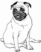 Pug Coloring Pages Printable Dog Cute Baby Kids Pugs Puppy Sheets Cartoon Color Bestcoloringpagesforkids Print Drawing Animal Girls Popular Book sketch template