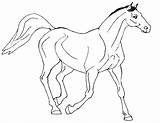 Horse Coloring Pages Printable Princess Kids Horses Print Realistic Drawing Cute Getdrawings Getcolorings Color Simple Carousel Comments Clydesdale Coloringhome Bestcoloringpagesforkids sketch template