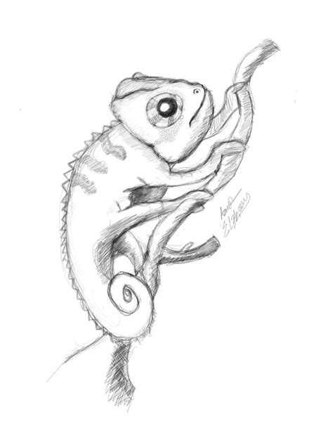 chameleon sketch by hotamr on deviantart