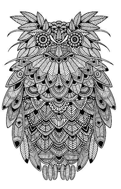 zentangle owl owl coloring pages owl art owl