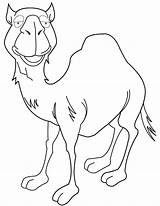 Camel Coloring Cartoon Pages Drawing Outline Children Colouring Cute Getdrawings Printable Popular sketch template