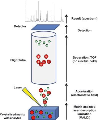 technical description  maldi tofms  sample  mixed   matrix  scientific