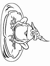 Disegni Ranocchi Clipart Rane Rana Frogs Colorare Grenouilles Colorat Animale Animali Homer Arts Planse Duck Shamu Clipartmag Whale Mallard Gifgratis sketch template