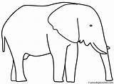 Coloring Elephant Animals Color Elephants Print sketch template