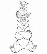 Colorear Oso Osos Hermano Urso Irmao Desenho Encima Colorearrr Pegar Princesas sketch template
